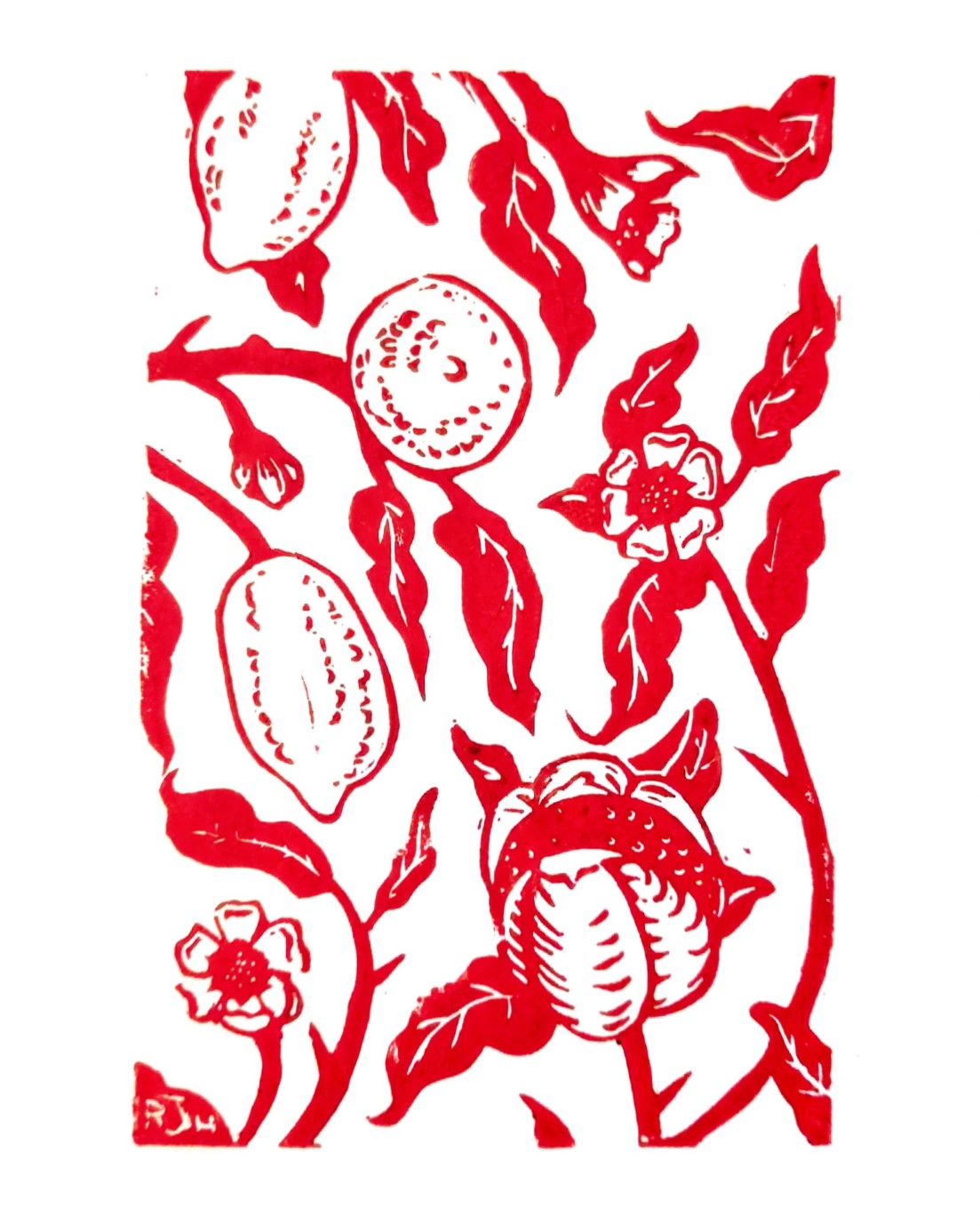 A linoprint of an old dutch-style tulip in red.